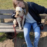 Hondenoppas Hilversum: Mijntje van der wal