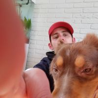 Hondenuitlaatservice Rotterdam: Vervloet