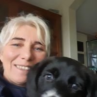 Hondenopvang Gorinchem: Yvonne