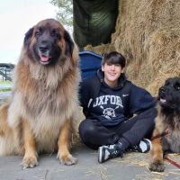 Hondenuitlaatservice Nieuw-Vennep: Dorina