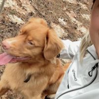 Hondenopvang s-Gravendeel: Fernanda