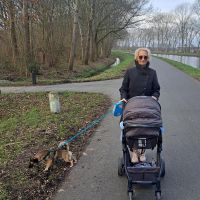 Hondenoppas Assen: Janni Beijert