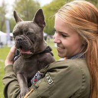 Hondenuitlaatservice Utrecht: Samantha