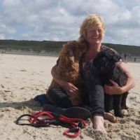 Hondenopvang Dordrecht: Arja 