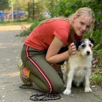 Hondenoppas Utrecht: Nika