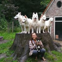 Hondenuitlaatservice IJmuiden: Conny