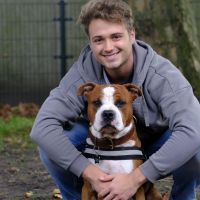 Hondenuitlaatservice Schiedam: Aidan