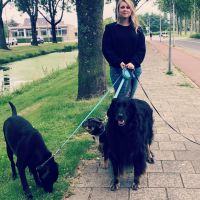 Hondenoppas Zwijndrecht: Marit van Prooijen