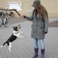 Hondenoppas Leeuwarden: Lisa