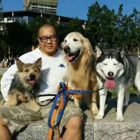 Hondenuitlaatservice Amsterdam: Kim