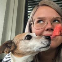 Hondenopvang Nijmegen: Steffi