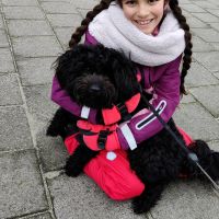 Hondenoppas Houten: Sweta