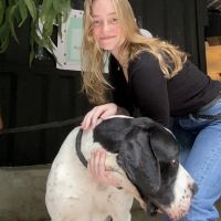 Hondenoppas Maastricht: Maxine 