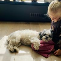 Hondenoppas werk Rosmalen: baasje van Essie