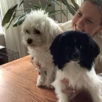 Hondenoppas Oisterwijk: Bianca
