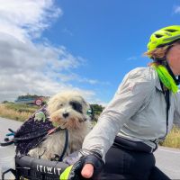 Hondenoppas werk Zeewolde: baasje van Ollis