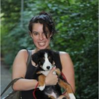 Hondenoppas Rotterdam: Sally