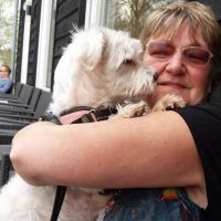 Hondenopvang Alphen aan den Rijn: Hilda
