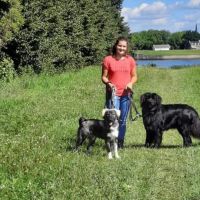 Hondenuitlaatservice Leeuwarden: Sanne