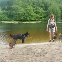 Hondenoppas Alphen aan den Rijn: Jeanne