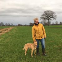 Hondenoppas Nijmegen: Fem