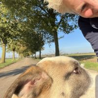 Hondenoppas Nijmegen: Fem