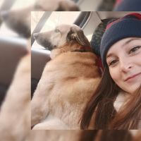 Hondenuitlaatservice Delft: Nikki