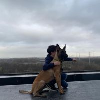 Hondenoppas Hilversum: Miro