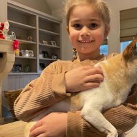Hondenoppas Laren (Noord-Holland): Lisette