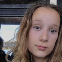 Hondenoppas Maarssen: Noor