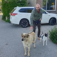 Hondenoppas werk Den Bosch: baasje van Corrie en Sien
