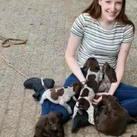 Hondenoppas Rijswijk (Noord-Brabant): Eline