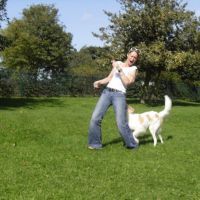 Hondenopvang Bergen op Zoom: Julie Ann 
