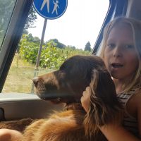 Hondenoppas werk Zutphen: baasje van Donnie en Nova