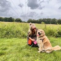 Hondenoppas Breda: Danjella