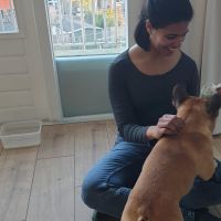 Hondenoppas Schiedam: Priya