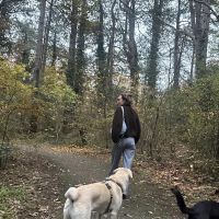 Hondenoppas Haarlem: Wendy