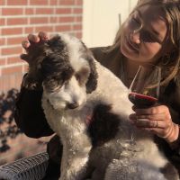 Hondenoppas Amstelveen: Lisa