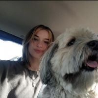 Hondenoppas Nieuw-Vennep: Emma