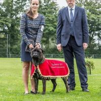 Hondenoppas Purmerend: Anika