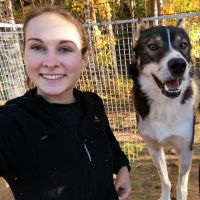 Hondenoppas Arnhem: Franka