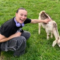 Hondenoppas Eindhoven: Ilsa