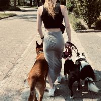 Hondenopvang Burgum: Rianne