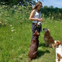 Hondenoppas Ede: Sonja