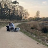 Hondenopvang Someren: Ilse