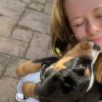 Hondenoppas Heemstede: Anna 