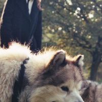Hondenoppas Breda: Charlotte