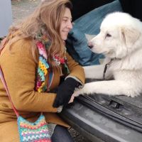 Hondenoppas werk Den Haag: baasje van Ollie 