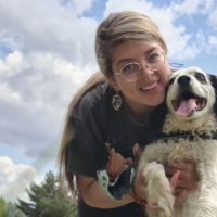 Hondenopvang Den Haag: Daniela 