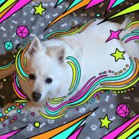 Hondenoppas Dieren: Liliana